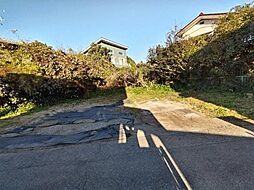 千葉県八街市大木