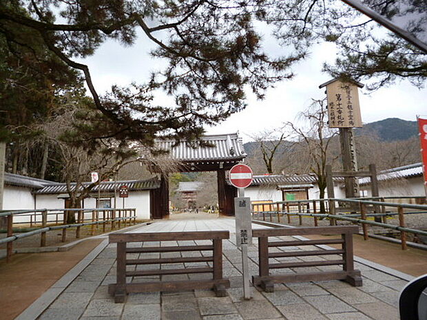 三宝院(醍醐寺塔頭)まで978m