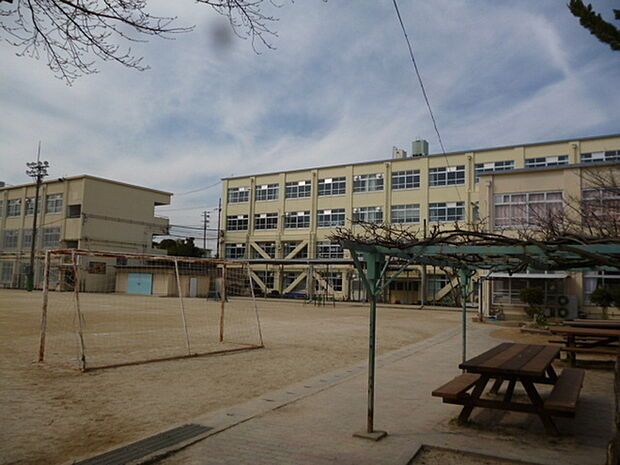京都市立向島小学校まで527m