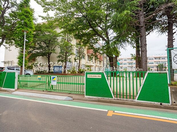 川口市立柳崎小学校まで290m