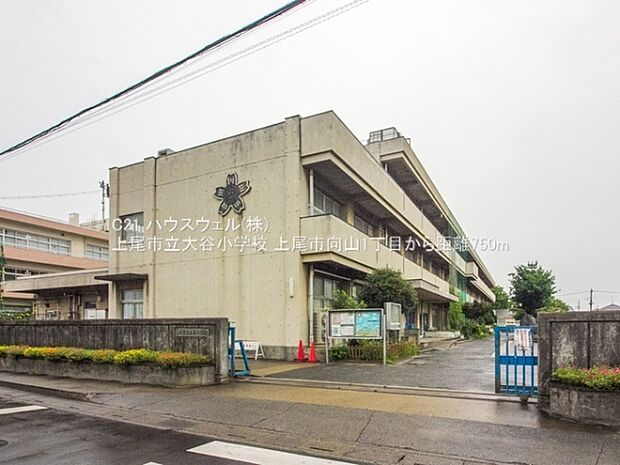 上尾市立大谷小学校まで750m