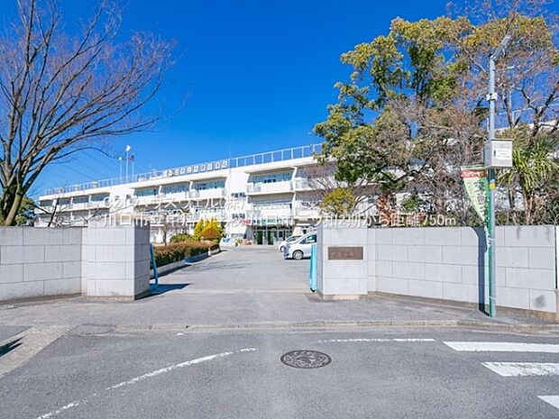 川口市立中居小学校まで750m