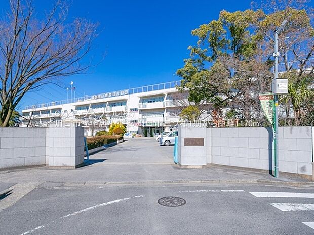 川口市立中居小学校まで1170m