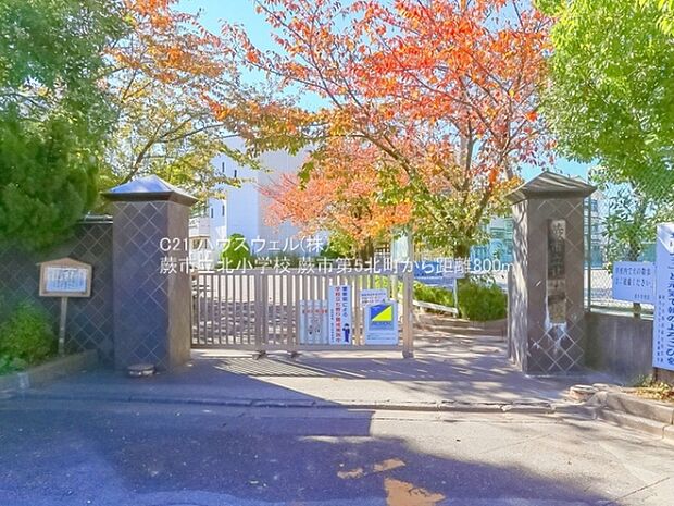 蕨市立北小学校まで800m