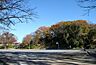 周辺：桂山公園まで600m、桂山公園