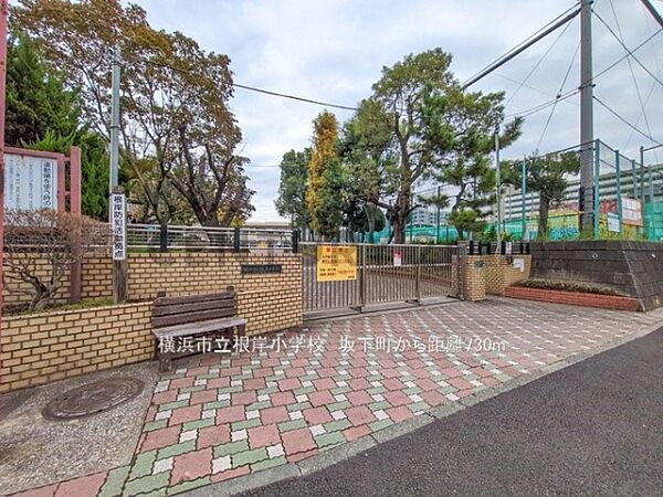 横浜市立根岸小学校まで730m、横浜市立根岸小学校