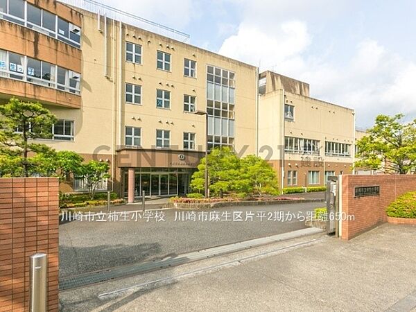 川崎市立柿生小学校まで600m、川崎市立柿生小学校