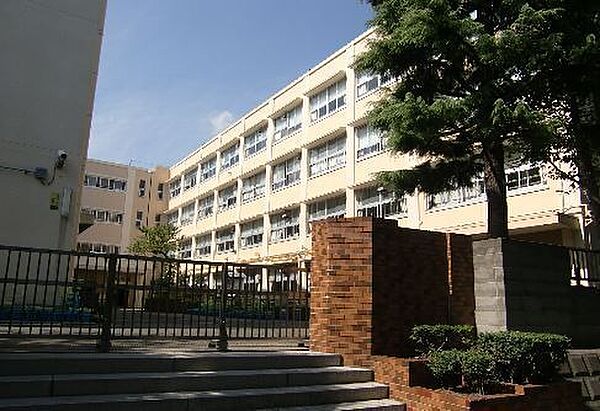 横浜市立駒岡小学校まで800m、横浜市立駒岡小学校
