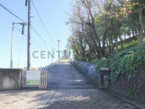 横浜市立仲尾台中学校まで700m、横浜市立仲尾台中学校