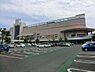 周辺：イトーヨーカドー大和鶴間店まで800m、イトーヨーカドー大和鶴間店