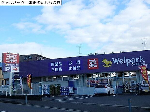 ウェルパーク海老名かしわ台店まで1276m