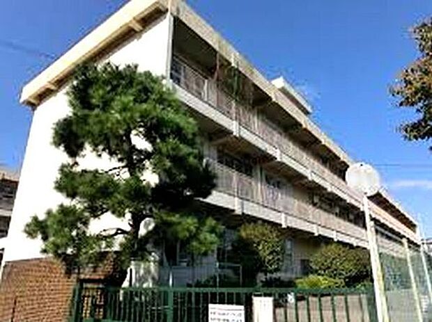 相模原市立緑台小学校まで505m