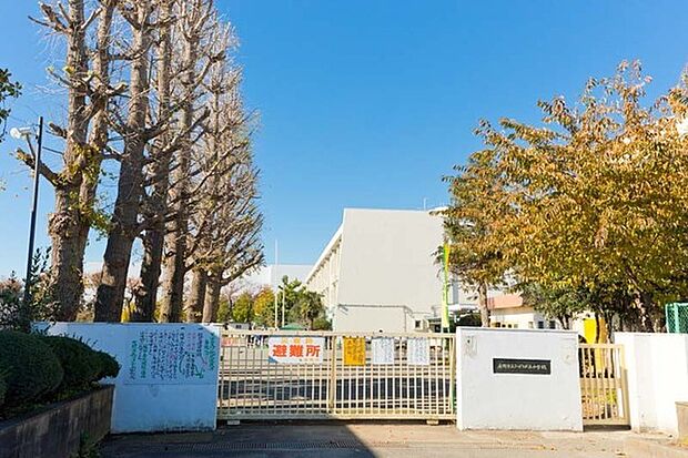 座間市立ひばりが丘小学校まで350m