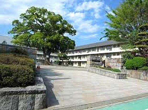 相模原市立新磯小学校まで862m