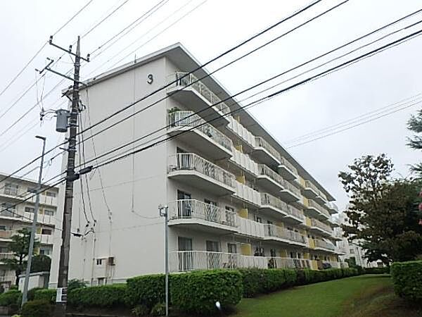 外観：314002856900