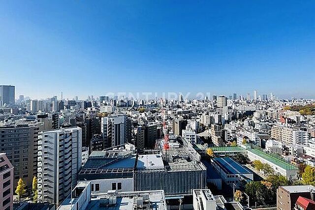 その他 エルアージュ小石川 20階/-