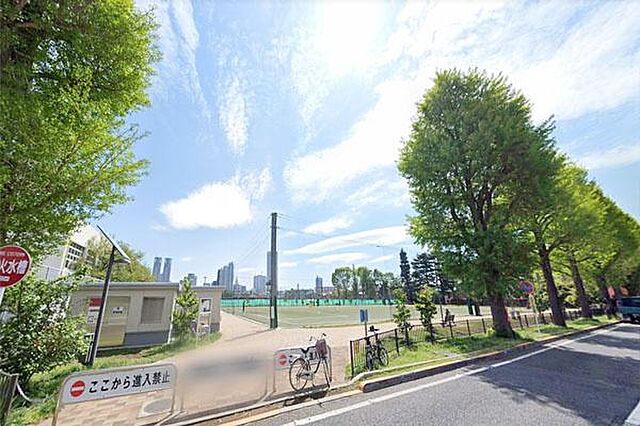 周辺 デュフレ渋谷本町 5階/-