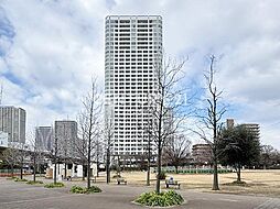 東京シーサウスブランファーレ