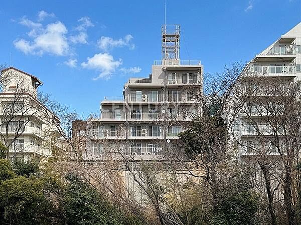 外観：313004660508