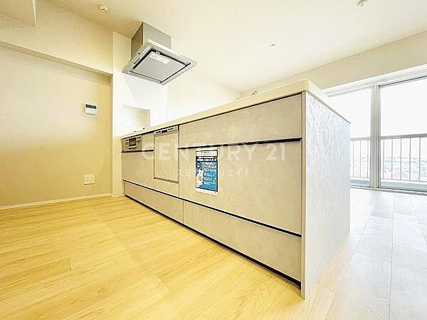システムキッチン／新規交換済、調理しながらリビングを見渡せる対面式キッチン、毎日の家事負担を軽減する食洗機付きです。