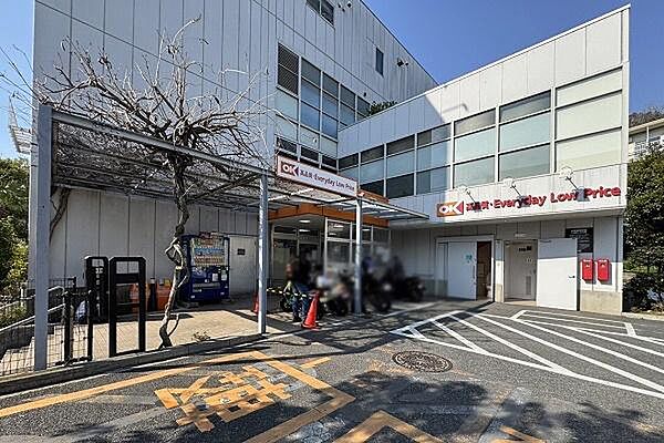 オーケー成城店まで1200m