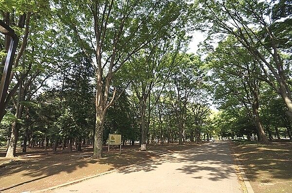 代々木公園まで1000m