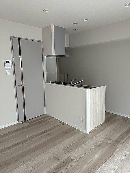 キッチン（2025年4月リフォーム時写真）／調理しながらお部屋を見渡せる対面式キッチン、浄水器付きです。