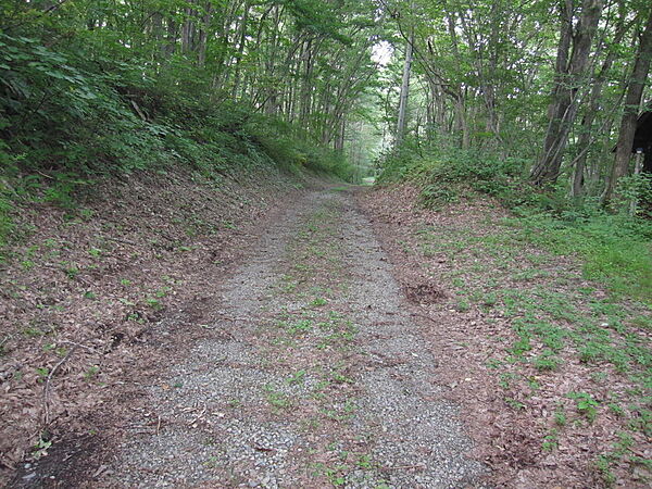 東側、接道