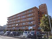 ドルミ・イヌイ 1階 築38年10ヶ月の賃貸物件