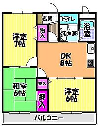 Shelley´s金剛 3階