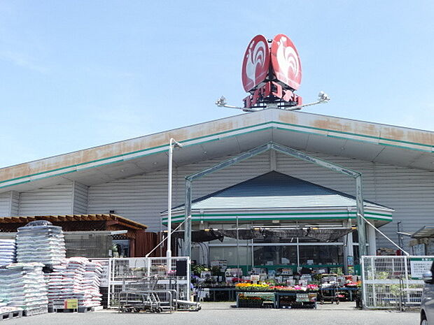 コメリハード&グリーン河内河南店まで631m