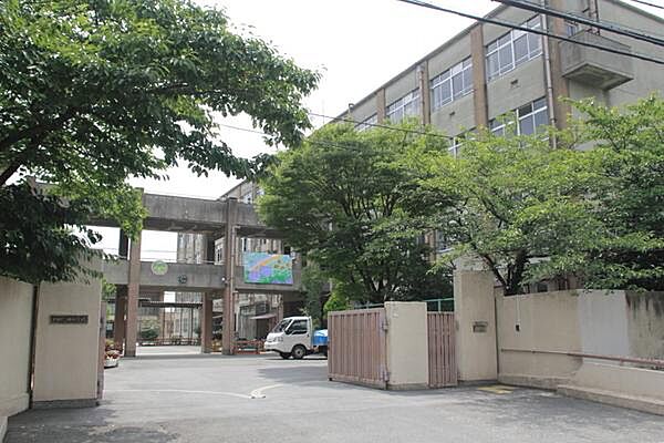 画像21:京都市立神川中学校まで919m