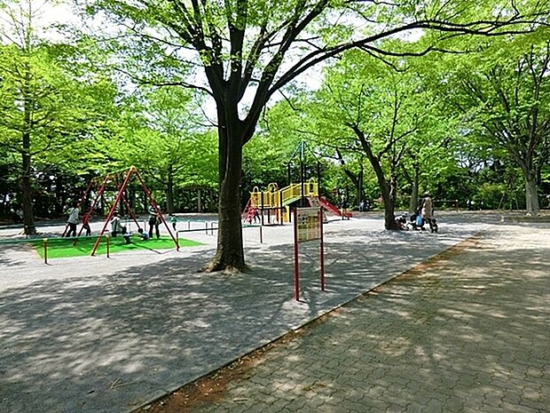 綱島公園まで672m、緑豊かな公園。ログハウス・テニスコート（夏季は屋外プール）・ターザンロープ・複合遊具・ブランコ・砂場・鉄棒があります。