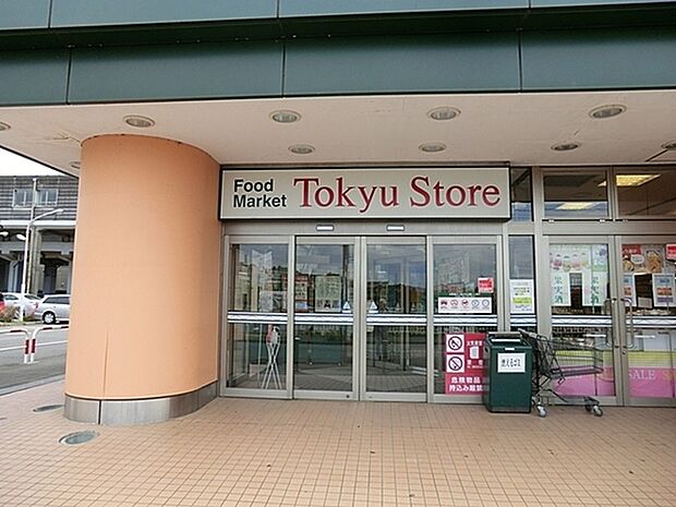 東急ストア田奈店まで775m、営業時間 9:00から21:00 　田園都市線田奈駅から徒歩2分のスーパーマーケット。
