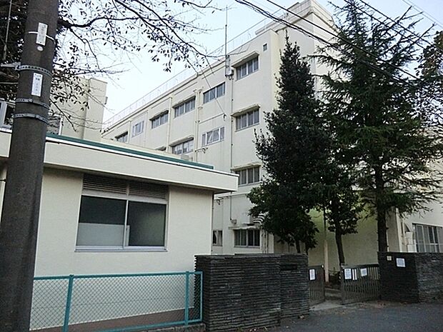 横浜市立常盤台小学校まで487m