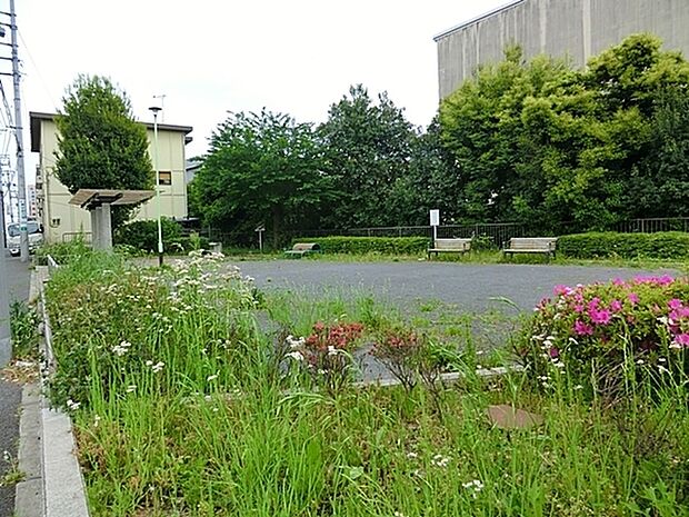 目黒町公園まで876m、ベンチのある静かで見通しの良い公園