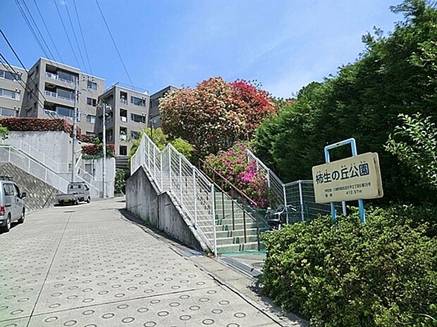 柿生の丘公園まで668m、遊び場にはスプリング遊具・スイング遊具、砂場、すべり台があります。