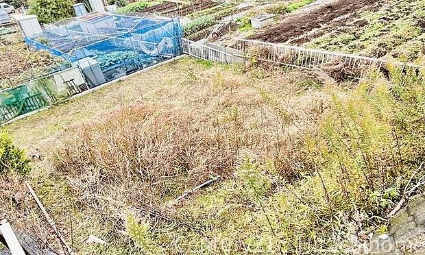 《庭》 ■土と緑が身近に感じられるお庭があるのは嬉しいですね。