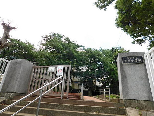 川崎市立有馬小学校まで592m