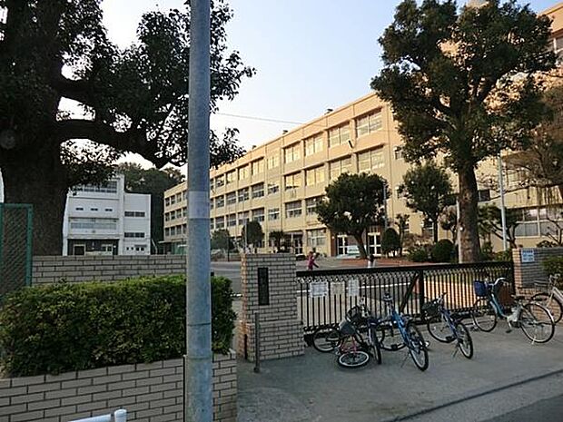 横浜市立新井小学校まで1268m