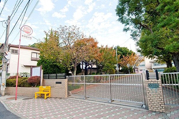 横浜市立根岸小学校まで780m