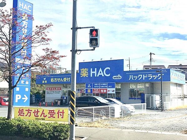 ハックドラッグ長沢店まで904m