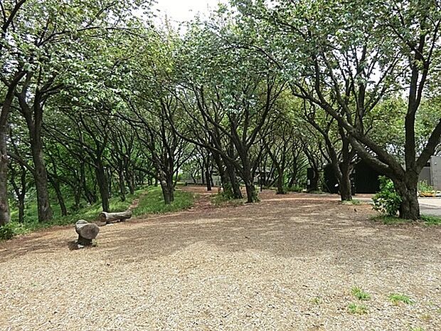 菊名桜山公園まで1261m、木々の緑も豊かで、季節の移り変わりも感じられます。