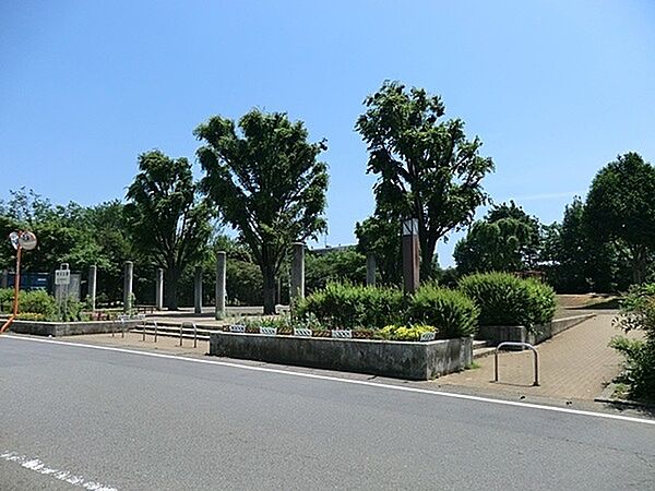 野川公園まで884m、簡易アスレチック複合遊具、鉄棒、健康器具（ぶら下がり、 背伸ばし）、水飲み、手洗い場がある公園らしい公園です