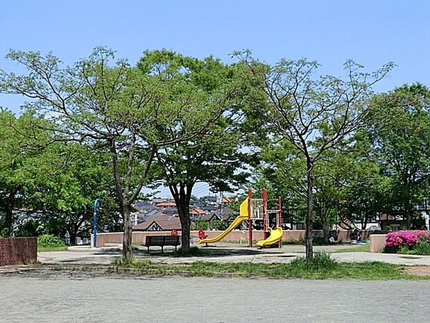 みすずが丘公園まで1436m、中央の円形の広場が特徴のきれいな公園です。センダンやネムノキなど他の公園にはあまりないめずらしい木が見られます。