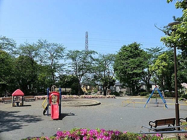 しらゆり公園まで742m、公園内を散策するだけでも木陰の下を歩いていくので、リフレッシュできますよ。春には桜もきれいな公園です。