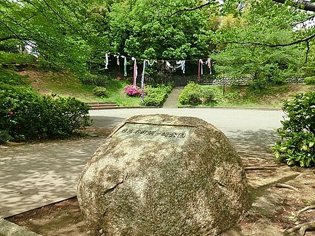 日吉本町鯛ヶ崎公園まで745m、思い切り走ったり、山に登ったりできる駅近の公園。山といってもちょうどよい感じの自然具合が嬉しいです。