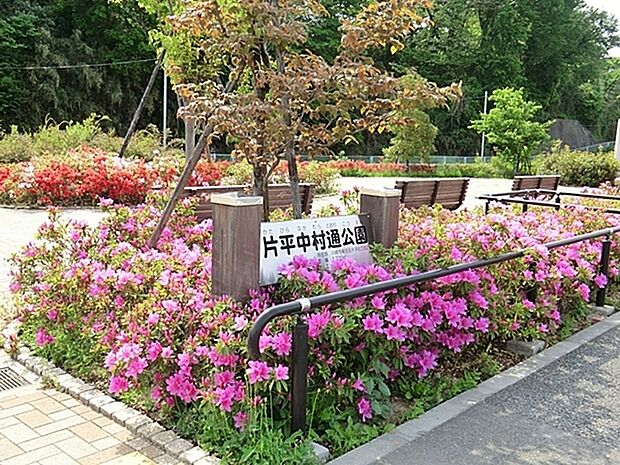 片平中村通公園まで405m、2000年以降につくられた新しい公園です。公園の設備にはトイレ、多目的トイレがあります。遊び場には複合遊具があります。