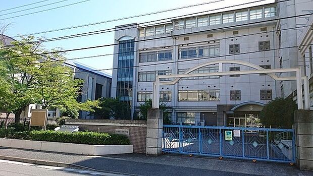 川崎市立今井中学校まで498m、学区の中央には渋川が流れ、春には、桜が咲き誇る川崎市の中央に位置する今井中学校