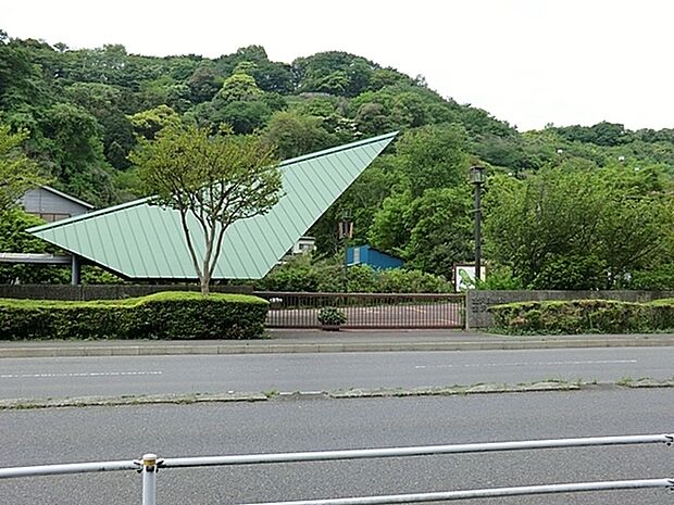 横浜市立金沢動物園まで2000m、緑豊かな金沢自然公園内にあり、世界の草食動物を中心に約50種の動物を収集し、展示しています。